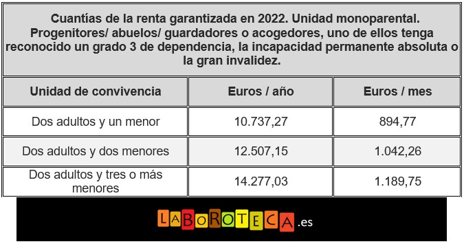 Renta garantizada Ingreso Mínimo Vital 2022. Familia discapacidad.